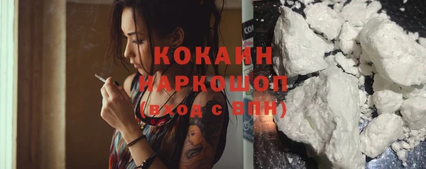 индика Богданович