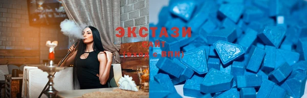 индика Богданович