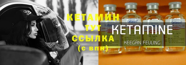 индика Богданович