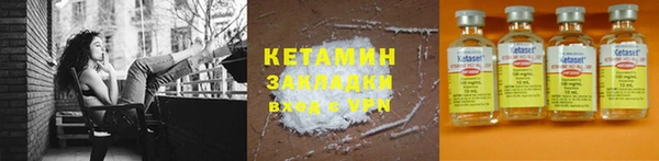индика Богданович