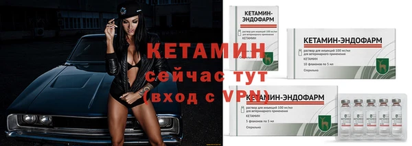 индика Богданович