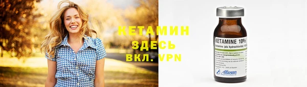 индика Богданович