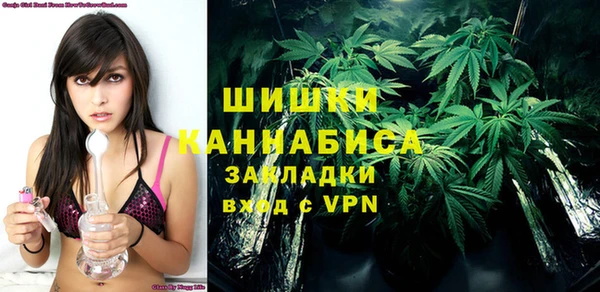 индика Богданович