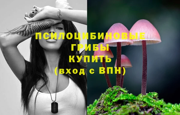 индика Богданович