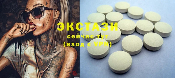 индика Богданович