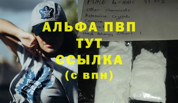 индика Богданович