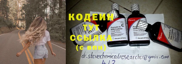 индика Богданович