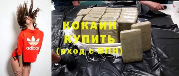 индика Богданович