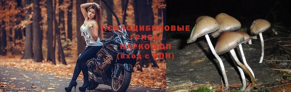 мяу мяу кристалл Богородск