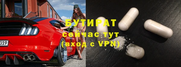 индика Богданович