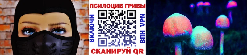 Купить закладки  Дальнегорск  Псилоцибиновые грибы GOLDEN TEACHER 